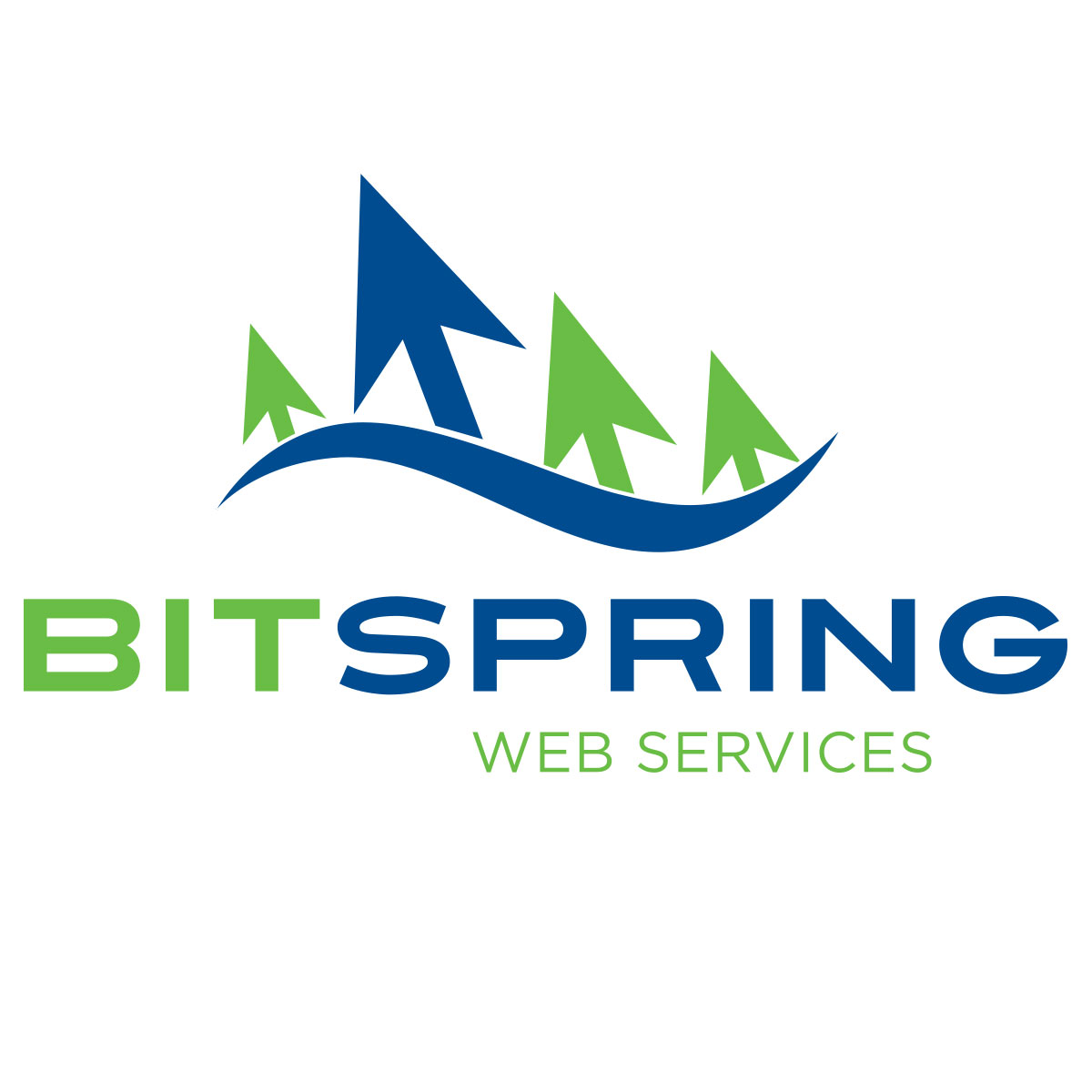 Bit Spring Web Services Maryland Web Developer